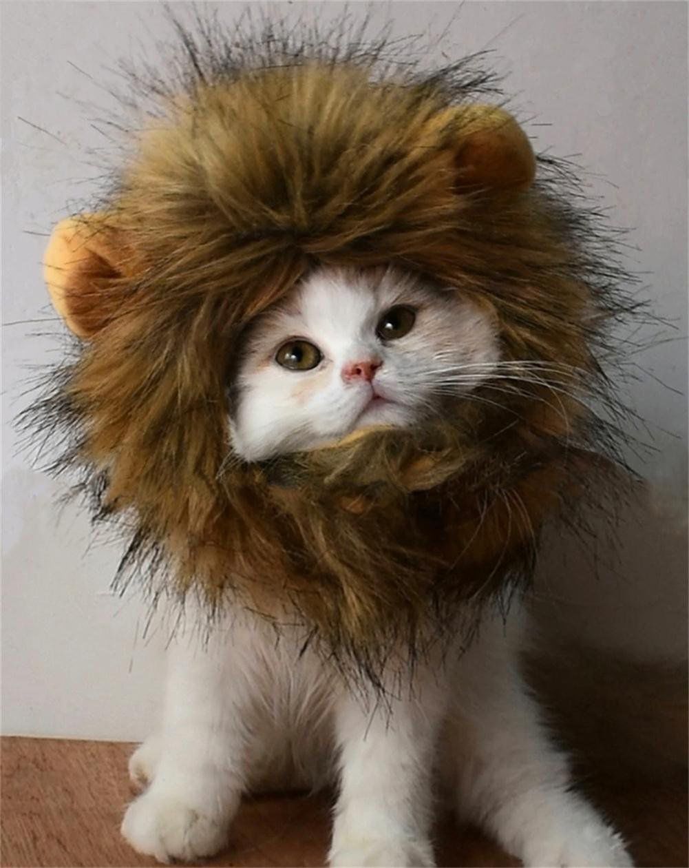 2) Sophie the Lion